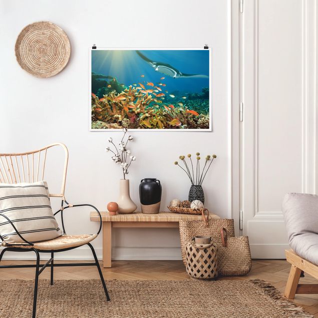 Obrazy nowoczesny Refa koralowa