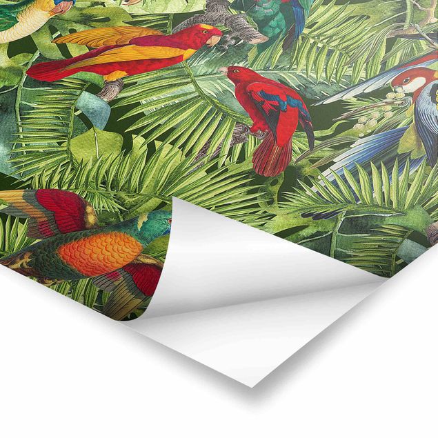 Obrazy kwiatowe Kolorowy kolaż - Papugi w dżungli