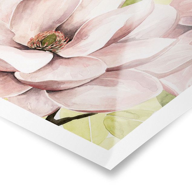 Obrazy z motywem kwiatowym Magnolia róż I