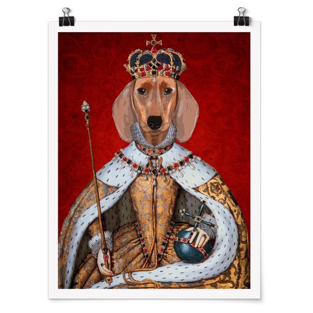 Obrazy zwierzęta Portret zwierzęcia - Królewna jamniczka