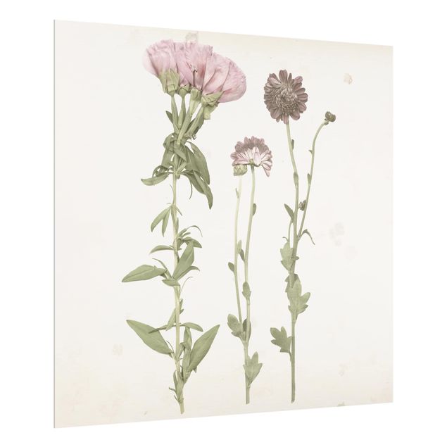 Panel szklany do kuchni - Herbarium w kolorze różowym III