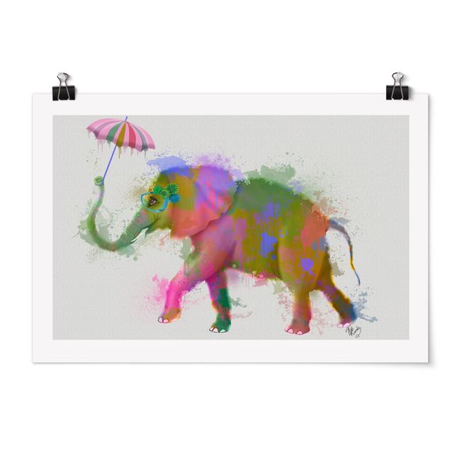 Zwierzęta obrazy Rainbow Splash Elephant