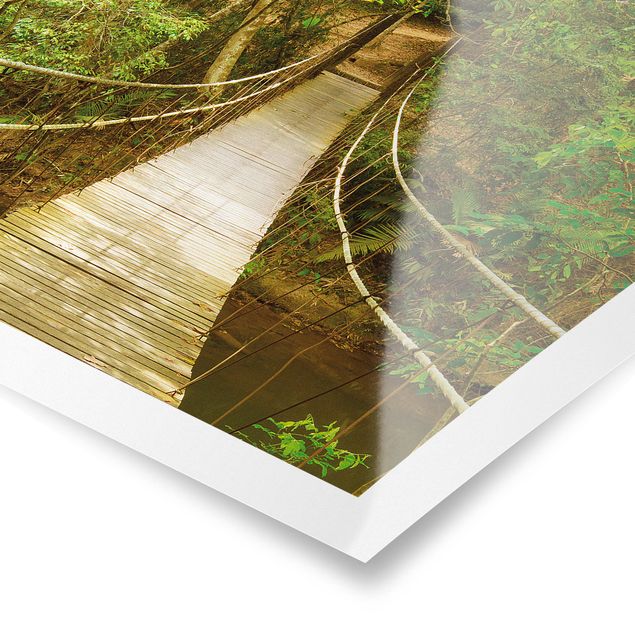 Obrazy na ścianę krajobrazy Mostek dżungli