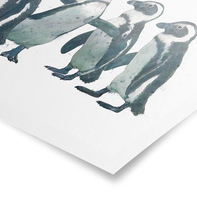 Obrazki czarno białe Ilustracja pingwinów czarno-biały Akwarela