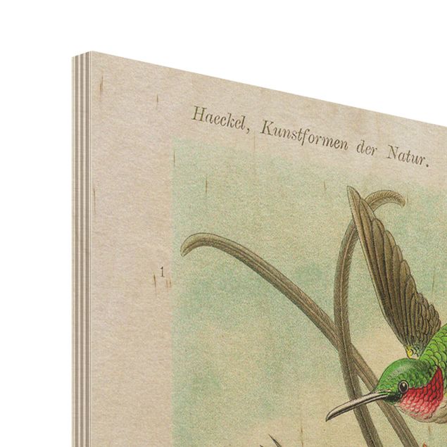 Obraz z drewna - Tablica edukacyjna w stylu vintage Kolibry