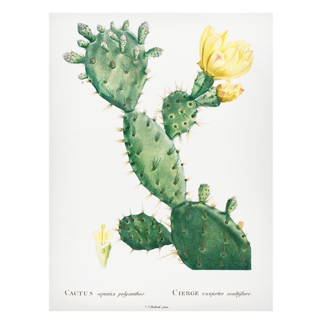 Obrazy do salonu Botani Vintage Ilustracja kaktusa z żółtym kwiatem