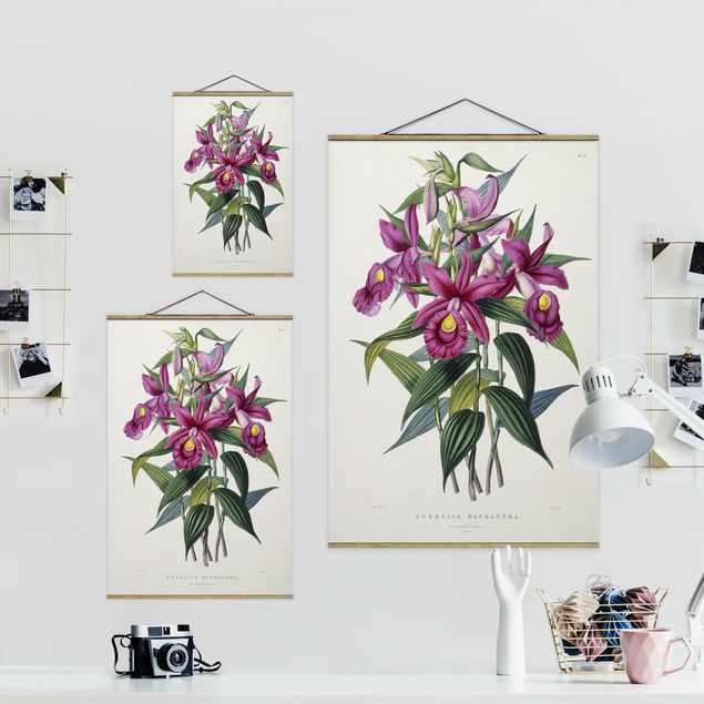 Obrazy kwiatowe Maxim Gauci - Orchidea I