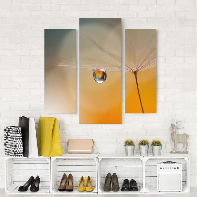 Obrazy do salonu nowoczesne Mniszek lekarski w kolorze pomarańczowym