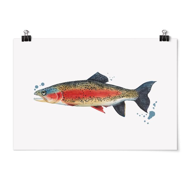 Ryby obrazy Złapanie koloru - pstrąg