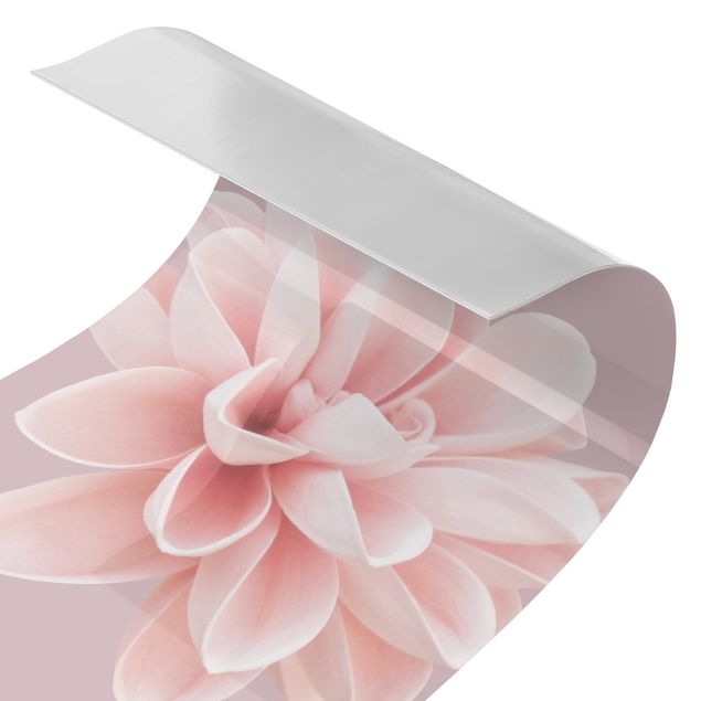 Tylna ścianka prysznicowa - Dahlia Flower Lavender Pink White
