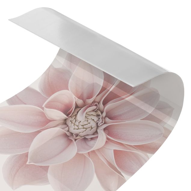 Tylna ścianka prysznicowa - Dahlia Flower Pastel White Pink