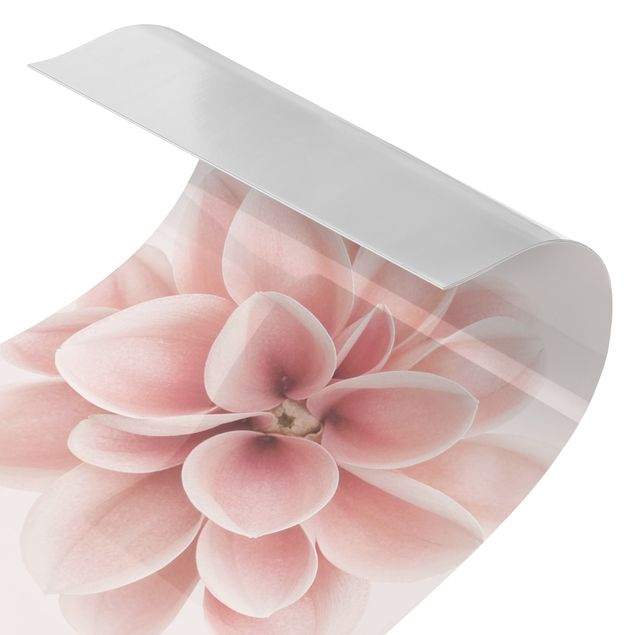 Tylna ścianka prysznicowa - Dahlia Pink Pastel Flower Centered