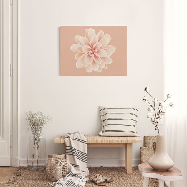 Obrazy nowoczesne Dahlia różowa pastelowa biała centrowana