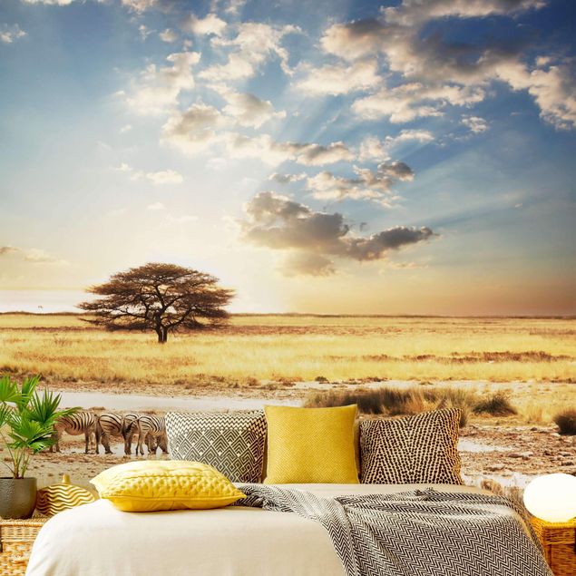 Fototapety afryka Życie zebr