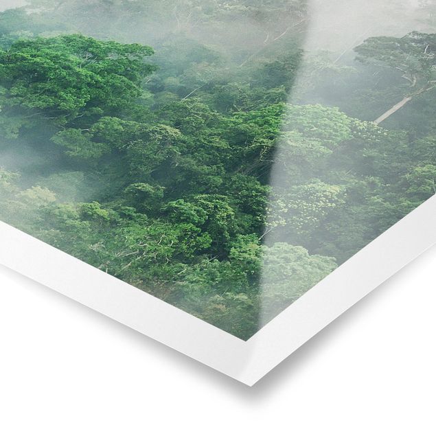 Obrazy krajobraz Dżungla we mgle
