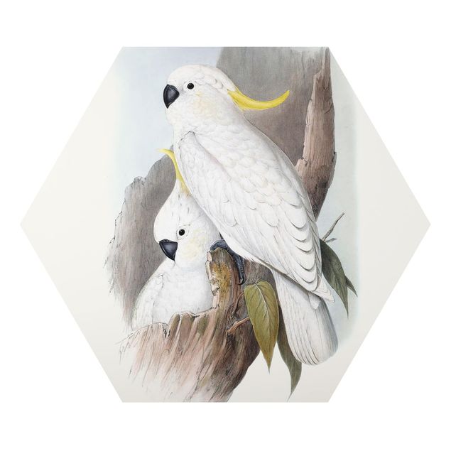 Obraz heksagonalny z Alu-Dibond - Pastelowe papugi III