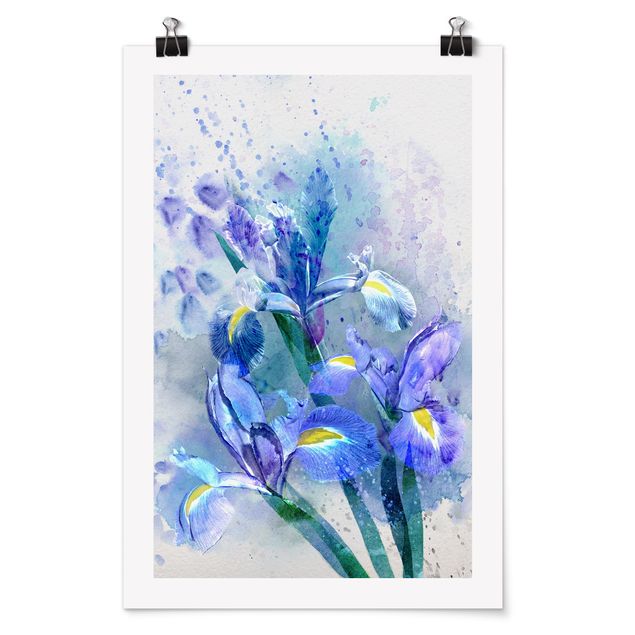 Niebieskie obrazy Akwarela Kwiaty Irys