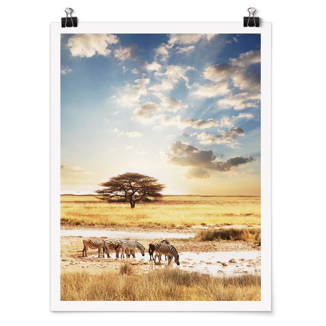 Obraz drzewo Życie zebr