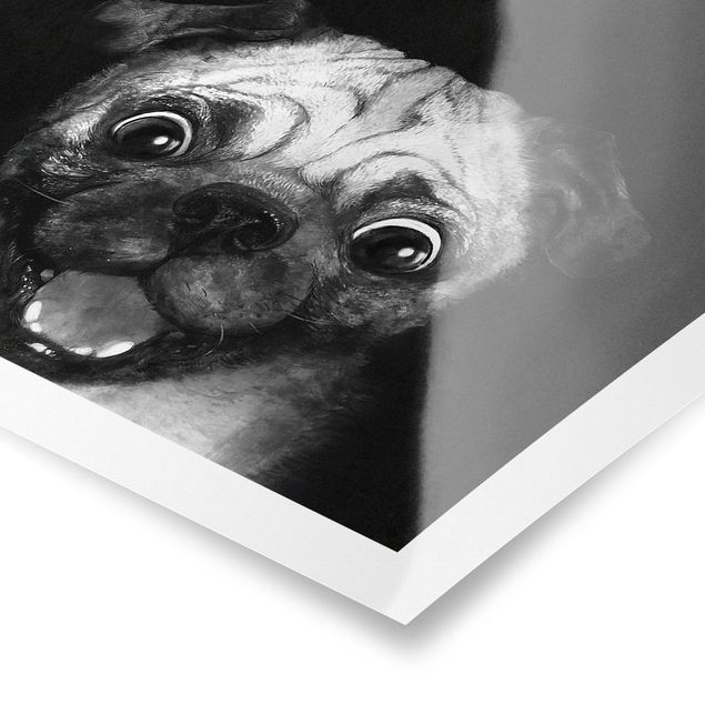 Czarno białe obrazy Ilustracja pies Pug malarstwo na czarno-biały