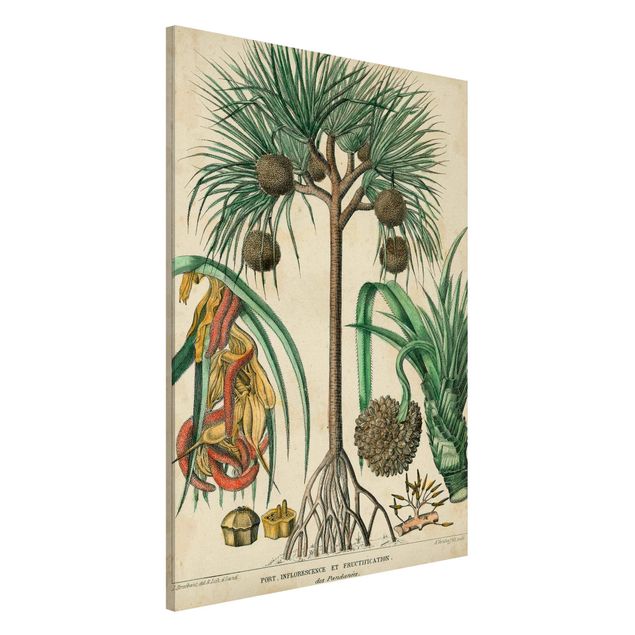 Dekoracja do kuchni Tablica edukacyjna w stylu vintage Palmy egzotyczne I