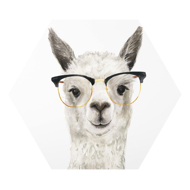 Obrazy zwierzęta Hippy Llama w okularach I