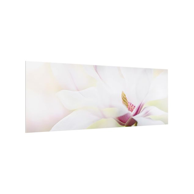 Panel szklany do kuchni - Czuły kwiat magnolii