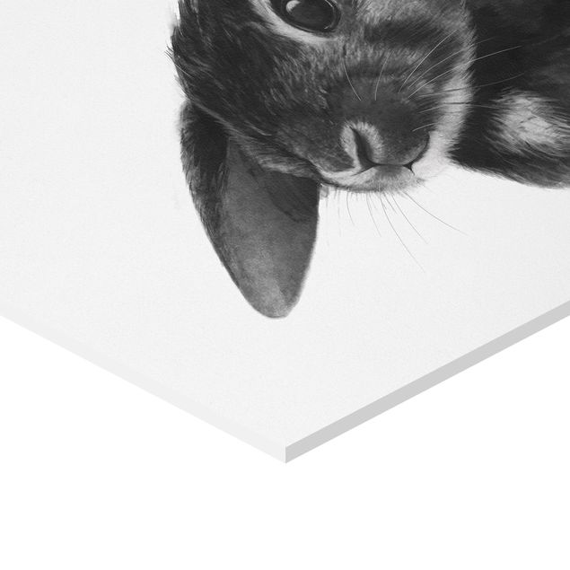 Obrazy Ilustracja królik czarno-biały rysunek