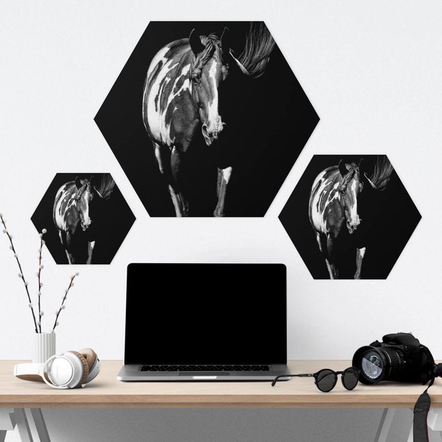 Obraz heksagonalny z Forex - Koń przed Czarnym