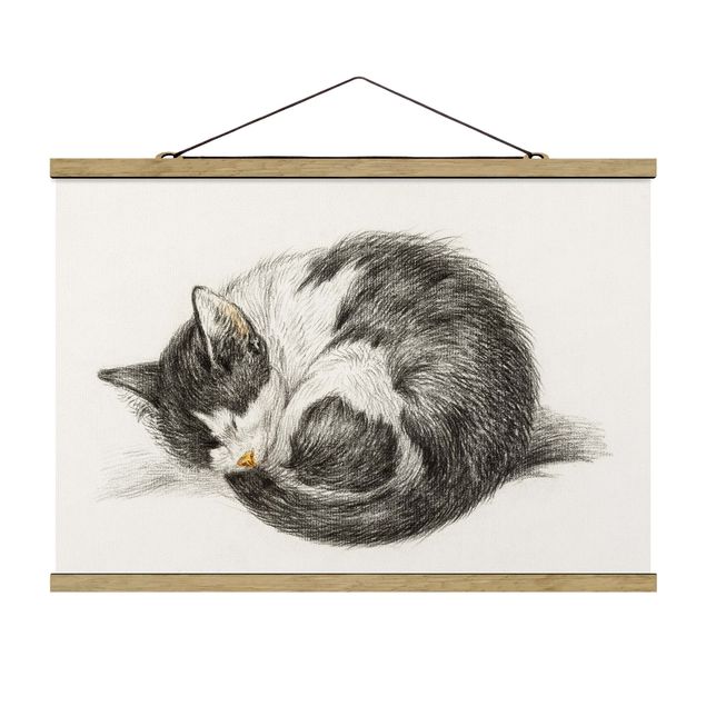Zwierzęta obrazy Zabytkowy rysunek kot II