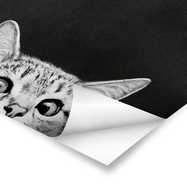 Czarno białe obrazy Ilustracja kot czarno-biały rysunek