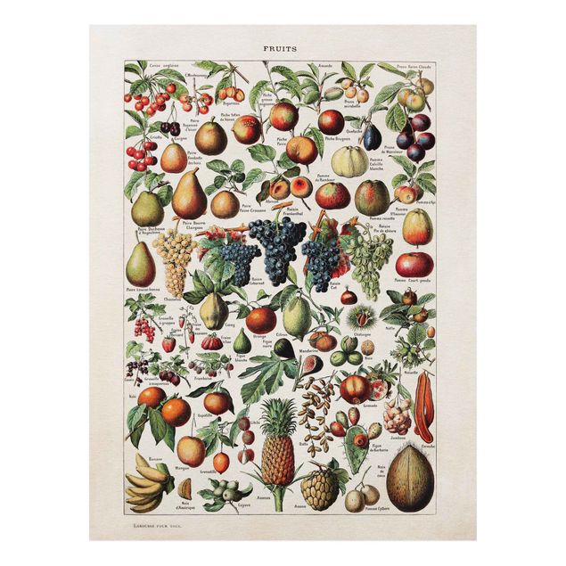 Dekoracja do kuchni Tablica edukacyjna w stylu vintage Owoce