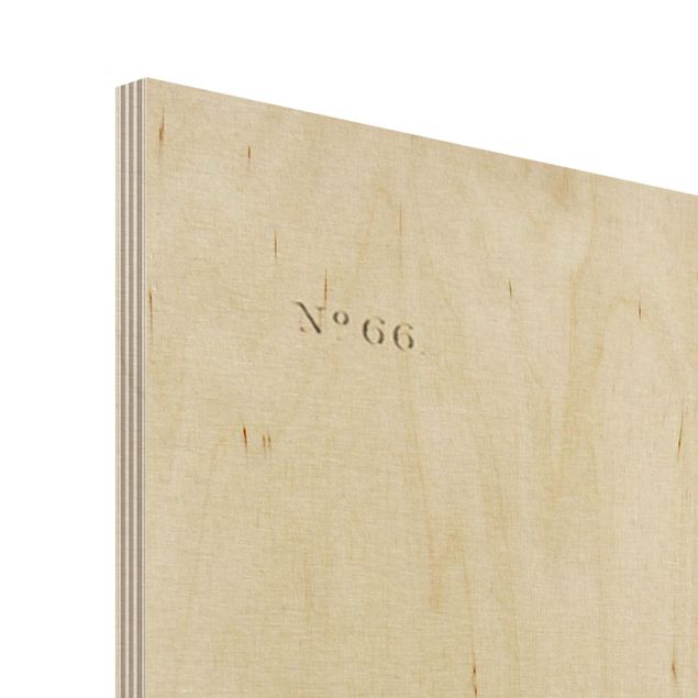 Obraz z drewna - Tablica edukacyjna w stylu vintage Awokot długonogi