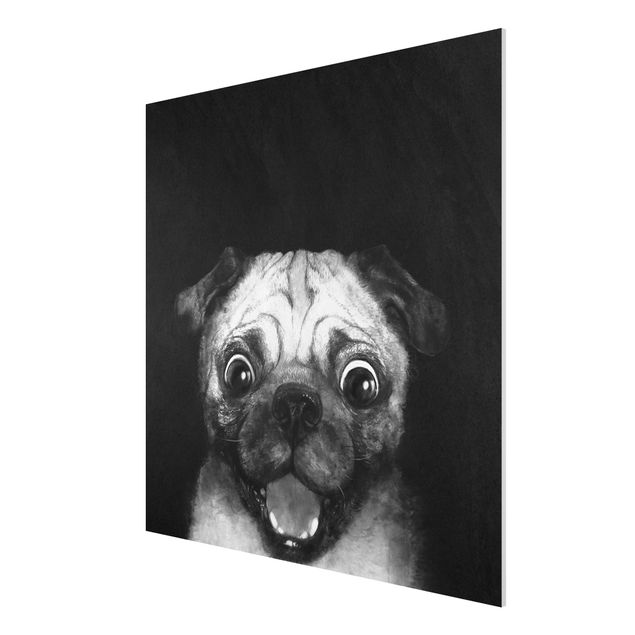 Nowoczesne obrazy Ilustracja pies Pug malarstwo na czarno-biały