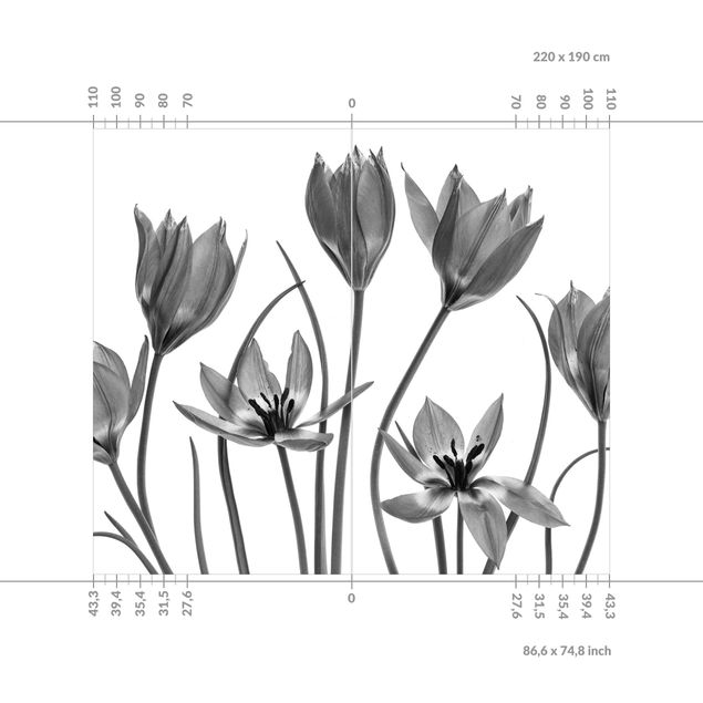 Tylna ścianka prysznicowa - Seven Tulips Black And White