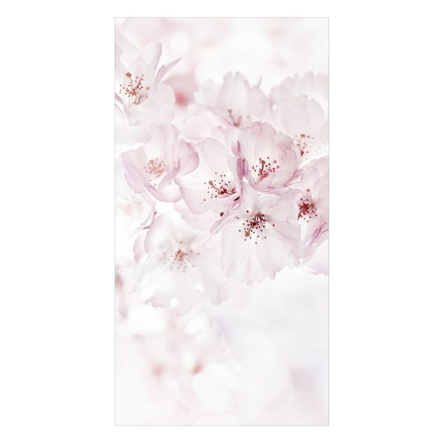 Tylna ścianka prysznicowa - A Touch Of Cherry Blossoms