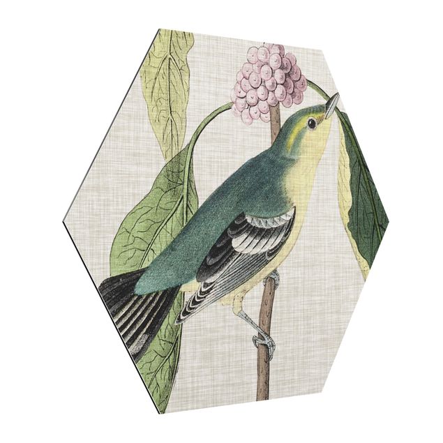 Obraz heksagonalny z Alu-Dibond - Ptak na lnianym różu I