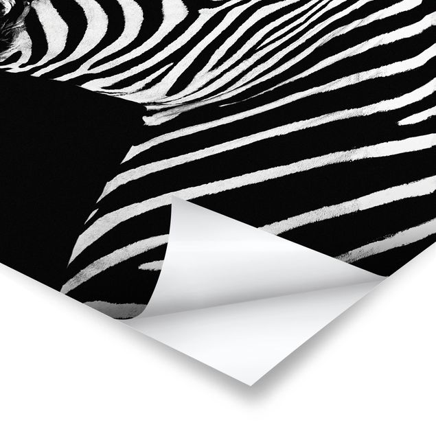 Czarno białe obrazki Zebra Safari Art