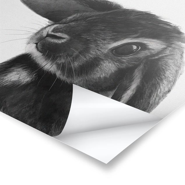 Laura Graves Art obrazy Ilustracja królik czarno-biały rysunek