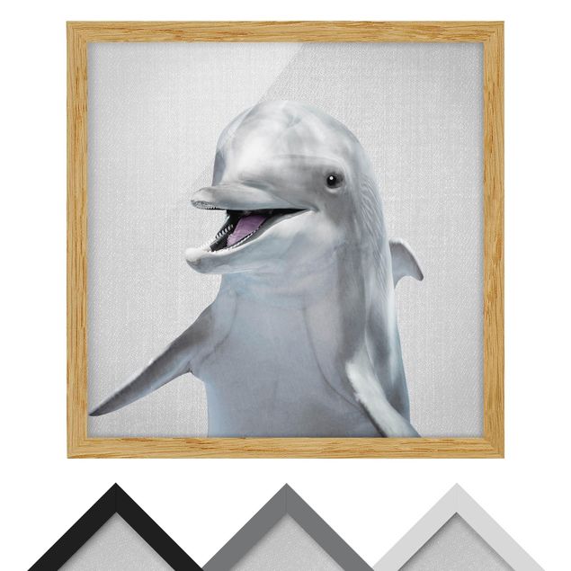 Nowoczesne obrazy Dolphin Diddi