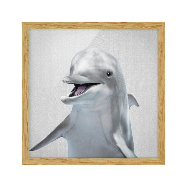 Obrazy w ramie zwierzęta Dolphin Diddi
