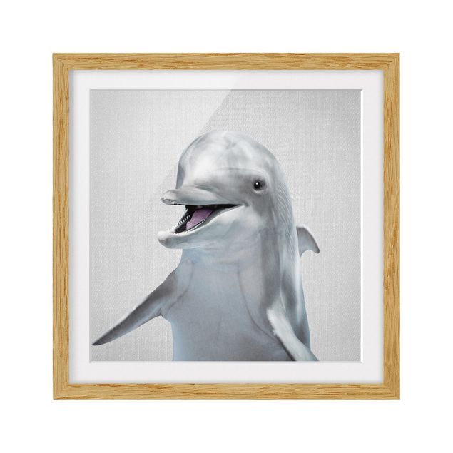 Obrazy w ramie zwierzęta Dolphin Diddi