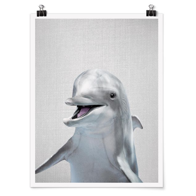 Zwierzęta obrazy Dolphin Diddi