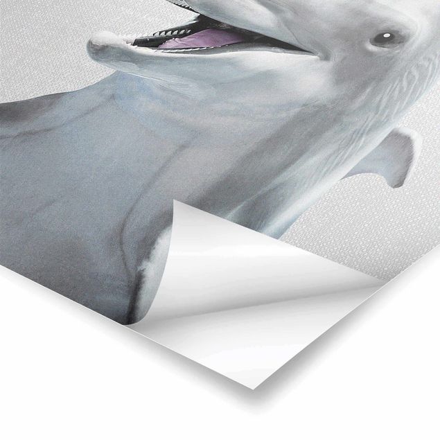 Plakaty czarno białe Dolphin Diddi