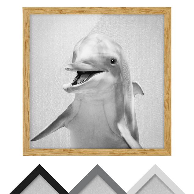 Obrazy nowoczesny Dolphin Diddi Black And White
