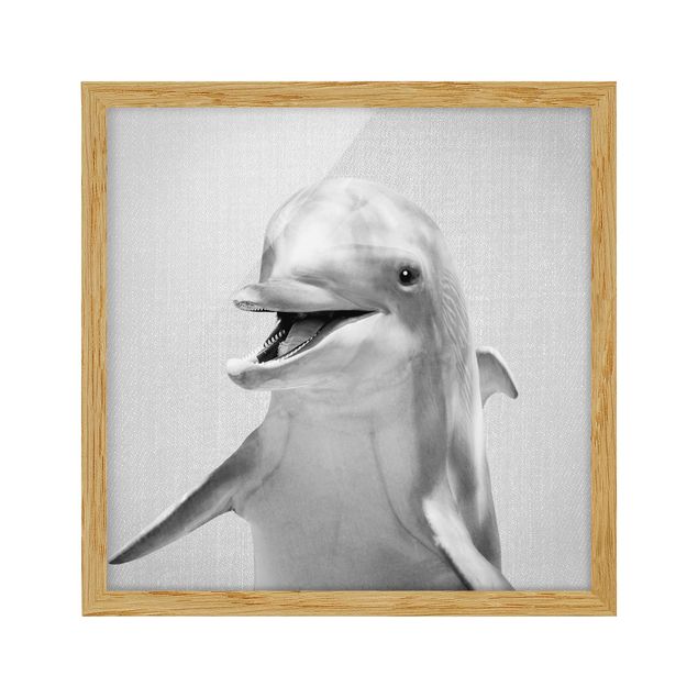 Obrazy w ramie zwierzęta Dolphin Diddi Black And White