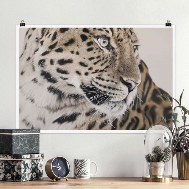 Obrazy do salonu Leopard