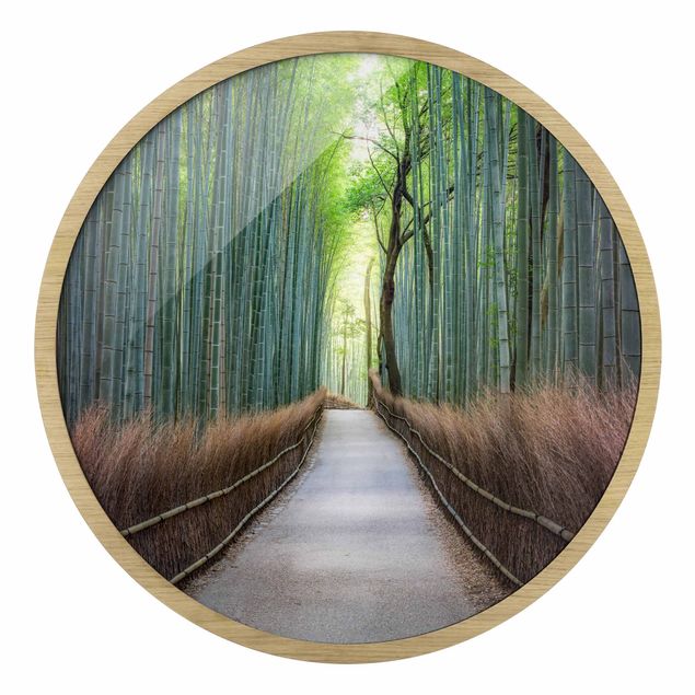 Obrazy nowoczesne The Path Through The Bamboo