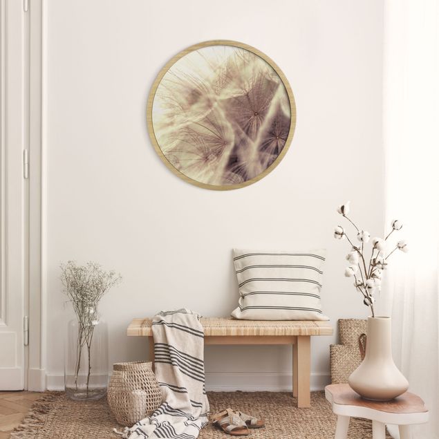 Nowoczesne obrazy do salonu Detailed Dandelion Macro Shot With Vintage Blur Effect