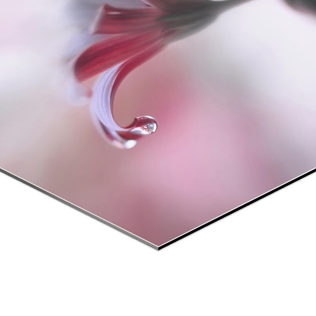 Obraz heksagonalny z Alu-Dibond - Niewidzialny dotyk