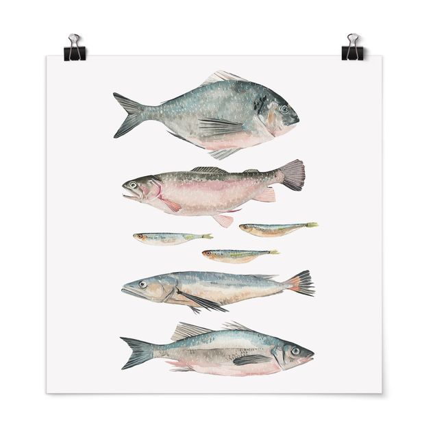 Obrazy zwierzęta Siedem rybek w akwareli II